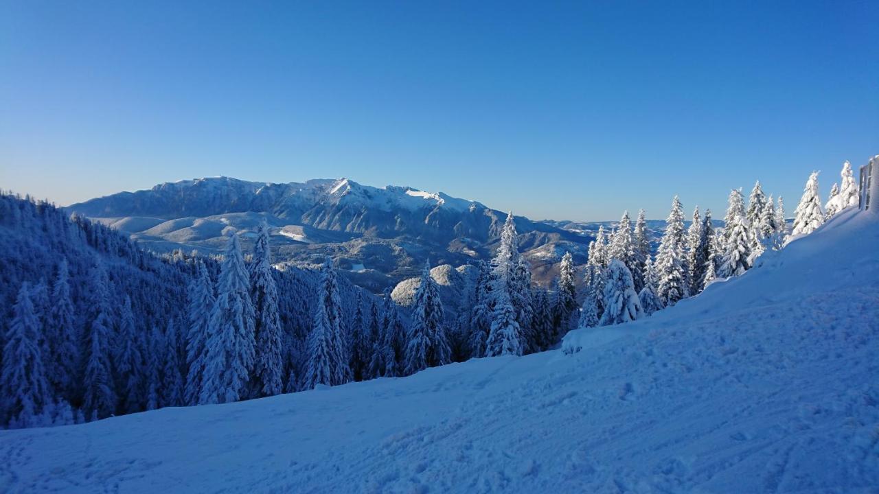 Apartament 2706 Alpin Resort, Etaj 7, Poiana Brasov Exterior photo