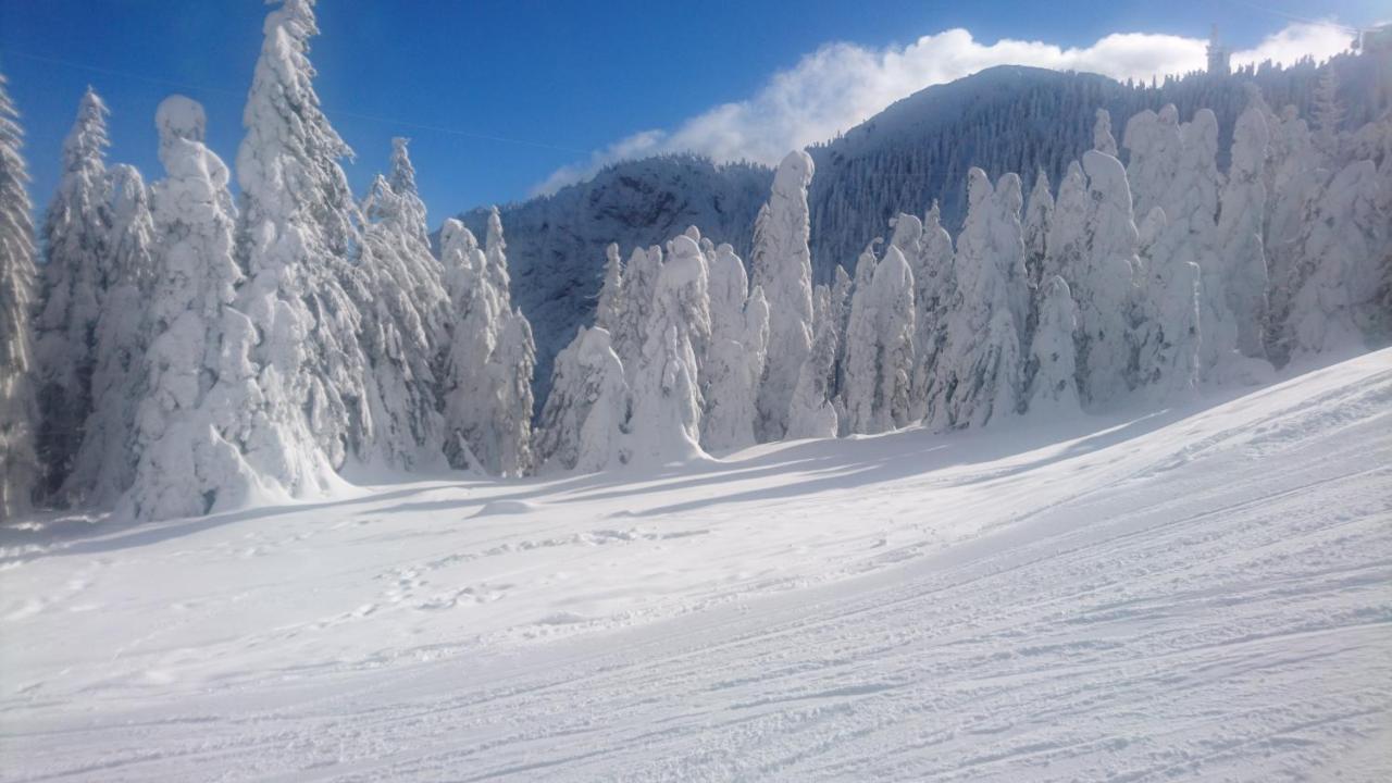 Apartament 2706 Alpin Resort, Etaj 7, Poiana Brasov Exterior photo