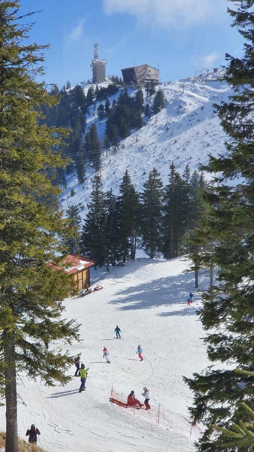 Apartament 2706 Alpin Resort, Etaj 7, Poiana Brasov Exterior photo